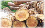 木造建築、木材の種類と加工